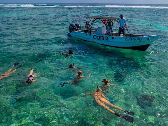 Hol Chan + Shark Ray Alley Tour in Belize