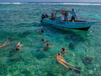 Half Day Hol Chan + Shark Ray Alley Tour in Belize