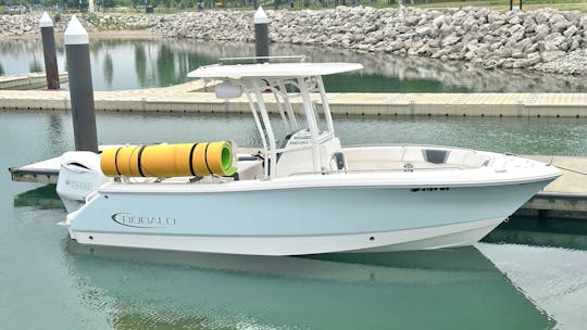 Cartamentos Robalo CC em Lake Michigan de 24 pés. Do centro de Chicago às praias de Indiana