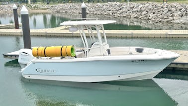 Charters Robalo CC sur le lac Michigan de 24 minutes. Du centre-ville de Chicago aux plages de l'Indiana