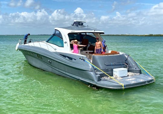 Yacht Sea Ray Sundancer 55ft in Cancún, Quintana Roo