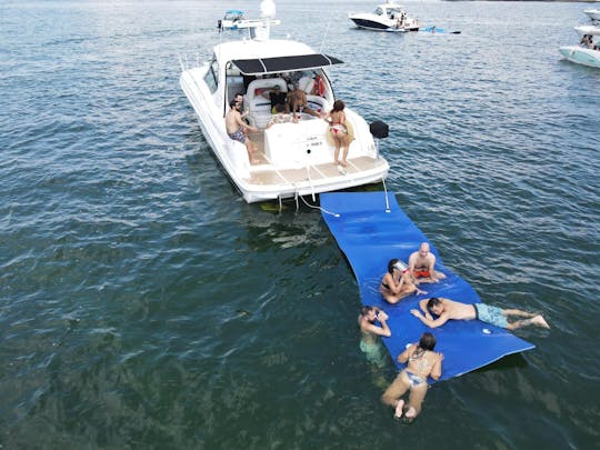 ¡Yate a motor Searay Sundancer de 46 pies!