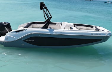 Big Grey, our Gorgeous 23' Bayliner Deck Boat with sports tower!