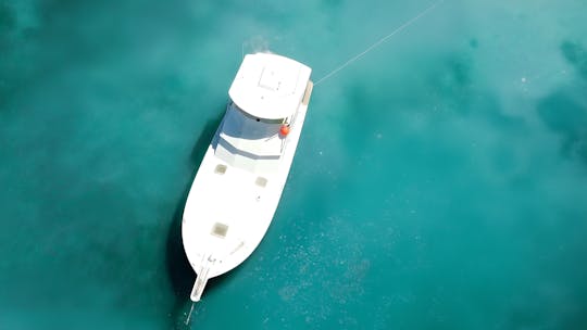 Excursion privée en bateau, île Fajardo PR Icacos ou île Palomino, SEA BOB INCLUS