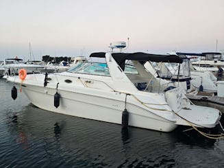 A Unique Experience With Our Sea Ray 330 Sundancer