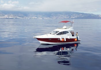 Starfisher 34 Motor Yacht trips for Snorkeling, Fishing, and More!