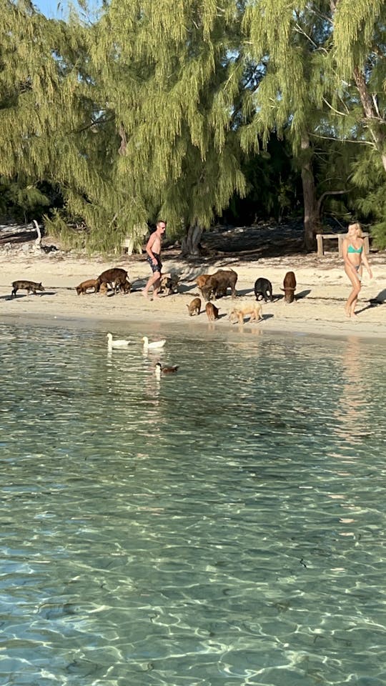 Excursão à Ilha do Porto e Eleuthera 