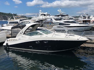 31' Sea Ray Sundancer Capitaneou Charter em Kirkland