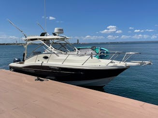 Experiência exclusiva com nosso Scout 280 Sportfish em La Paz, BCS