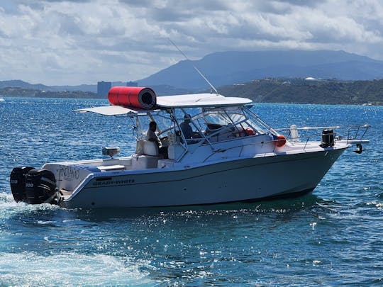 Grady White 33Ft Puerto Del Rey, Fajardo PR