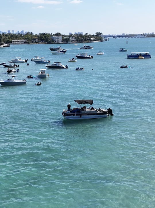 Good times on the water - 22 foot Pontoon Sun Tracker