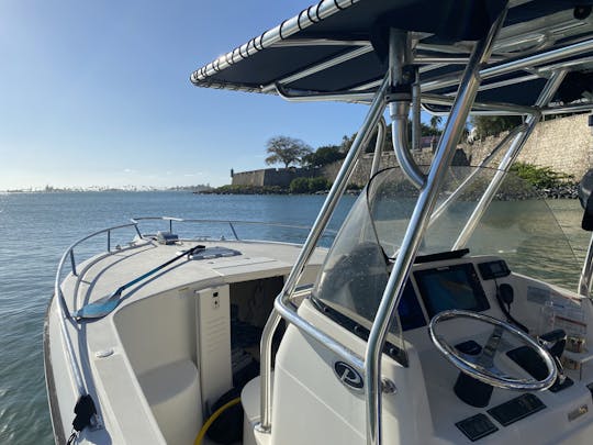 3 Islands Tour Fajardo @Pursuit 2670 Twin '2022 Yamaha F250 Engines