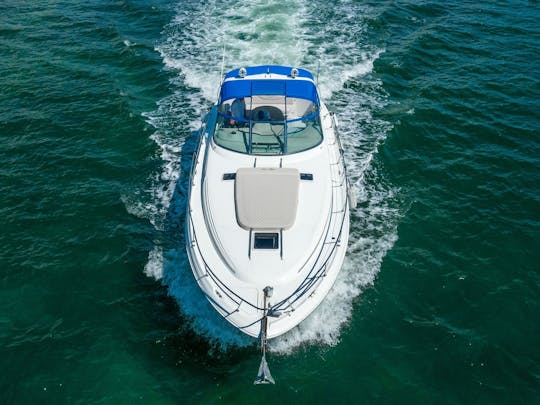 HORA GRÁTIS 45' SeaRay Sundancer (Melhor Equipe)