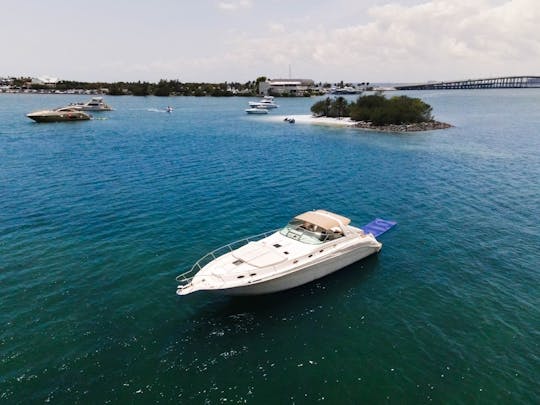 Location de yacht privé SeaRay de 50 minutes — Heure gratuite et promotions gratuites sur le jet ski en semaine ! 