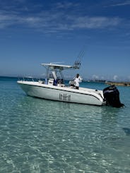 Enjoy Snorkeling, Swimming pigs, Rose island and Fishing Trips