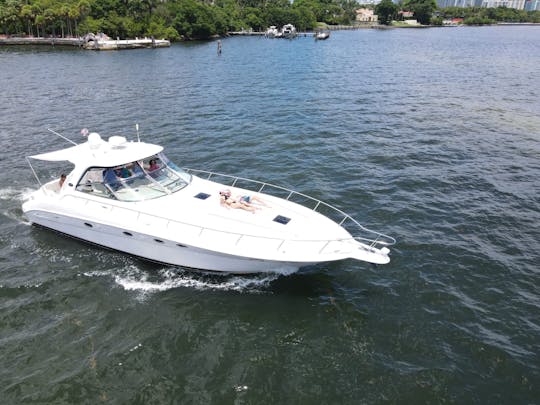 ❤️❤️55' Huge SeaRay Motor Yacht- Best Boat in Miami 😍😊🐬