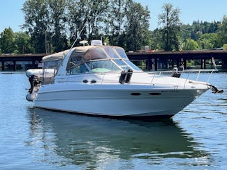 Días en el lago bien hechos: navega por Seattle en un Sea Ray 310