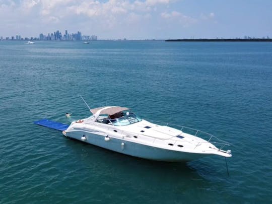 Sea Ray sportif de 50 minutes à Miami | 1 heure GRATUITE + champagne !