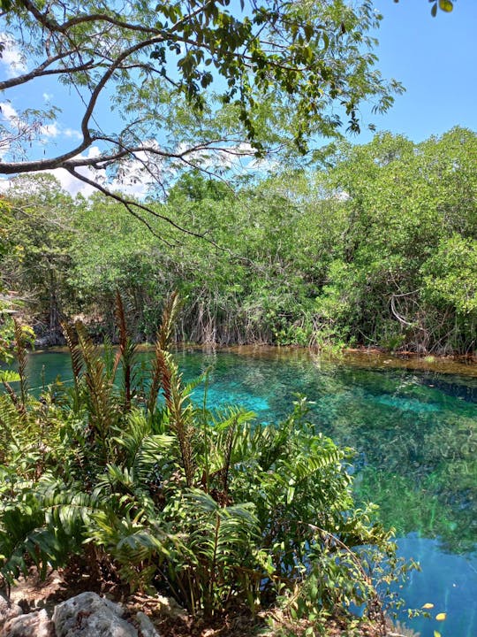 Cenotes By Bike Plus Mayan Style Cooking Riviera Maya