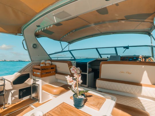 Superbe yacht Sea Ray de 43 pieds avec les meilleurs équipements en mer.