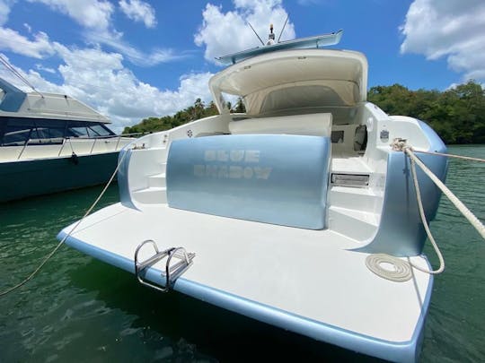 🏆 Excursion privée à l'île de Saona et à la piscine naturelle dans ce yacht de luxe de 50 pieds