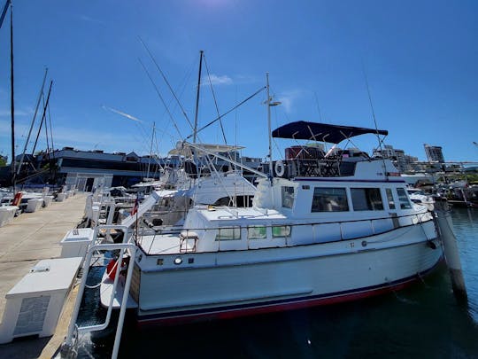 Sunset Private Food Tasting Cruise | San Juan Bay