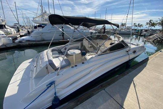 Yate a motor Sea Ray Sundeck de 27 pies - Explore la Bahía de Banderas