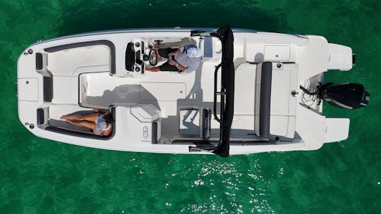 Big Grey, our Gorgeous 23' Bayliner Deck Boat with sports tower!