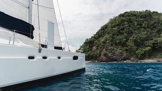 Set Sail for Paradise: Half Day Catamaran Charter