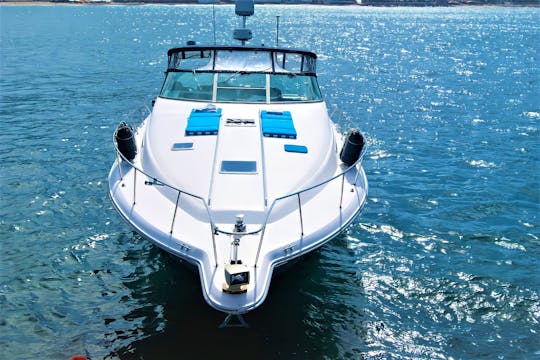 Luxury Experience on 42ft Sea Ray Yacht | Puerto Vallarta (Includes food)