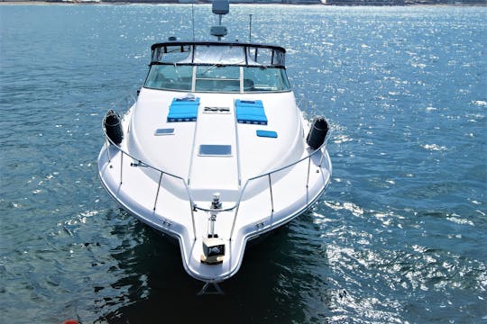 Experiência de luxo em um iate Sea Ray de 42 pés | Puerto Vallarta (inclui comida)