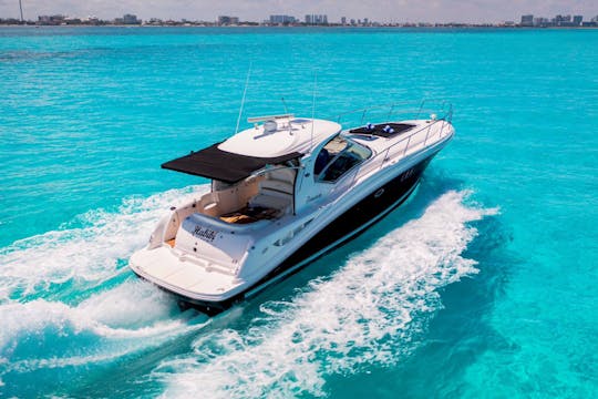 Iate Sea Ray Sundancer de 44 pés em Cancún, Quintana Roo