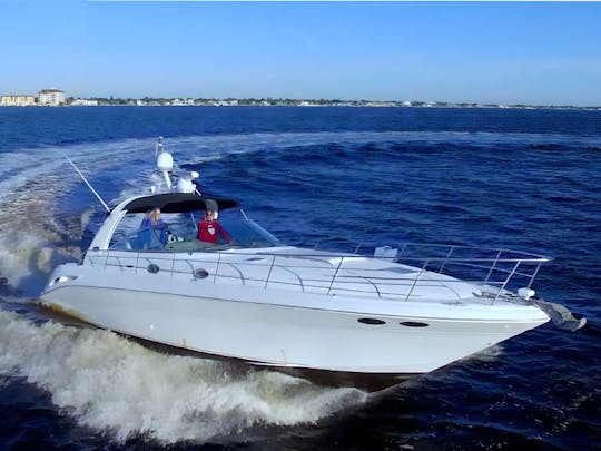 41' Stunning Sea Ray Yacht - Stunning throughout