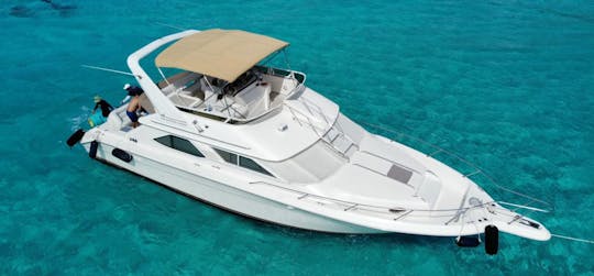 Sea Ray 440 Express Bridge Yacht for cruise in Cancun