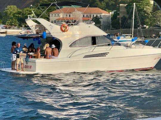 Barco esportivo de luxo de 41 pés para 15 passageiros