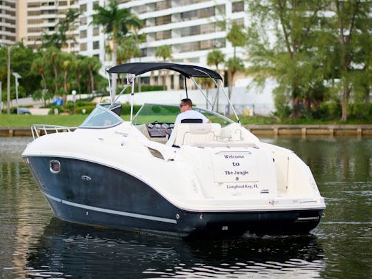 Sea Ray 260 ! Welcome To The Jungle !