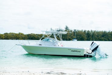 Enjoy Miami aboard our Proline 24ft