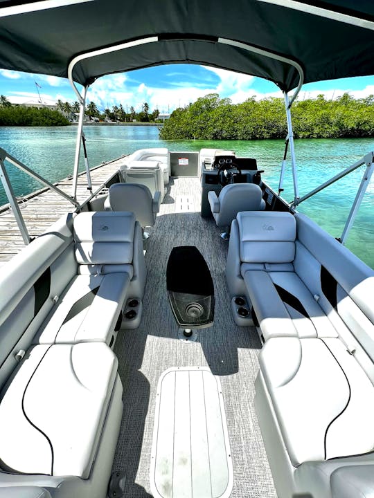 New 22ft Deluxe Pontoon W/Lounge Seating (Sounds, Seat Upgrades & Dog Friendly)