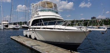 Cruzador Flybridge de 33 pés com capitão em Halifax