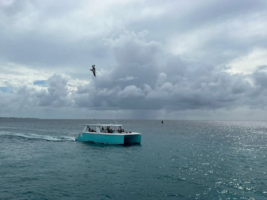 Catamarán privado de 45 pies 