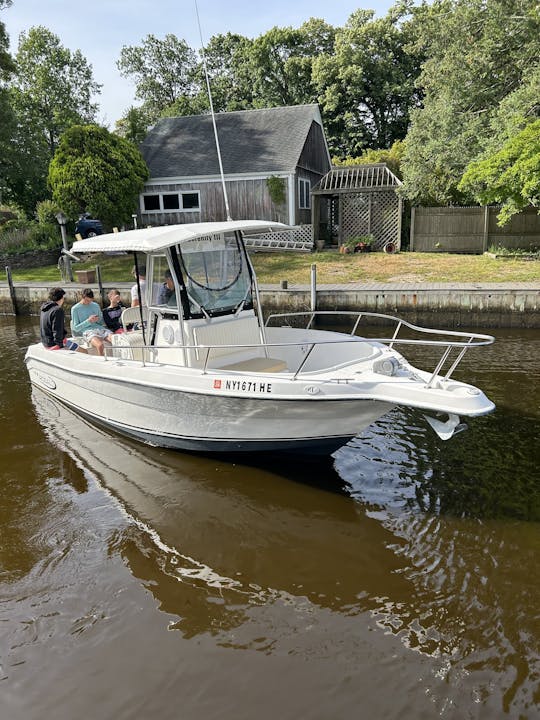 Perfect Day Boat to Cruise , Swim and just RELAX!! FUEL INCLUDED!