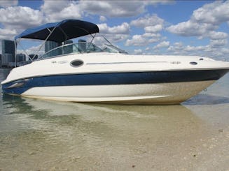 Enjoy 26FT Sea Ray Sundeck for 11 people in Miami! 