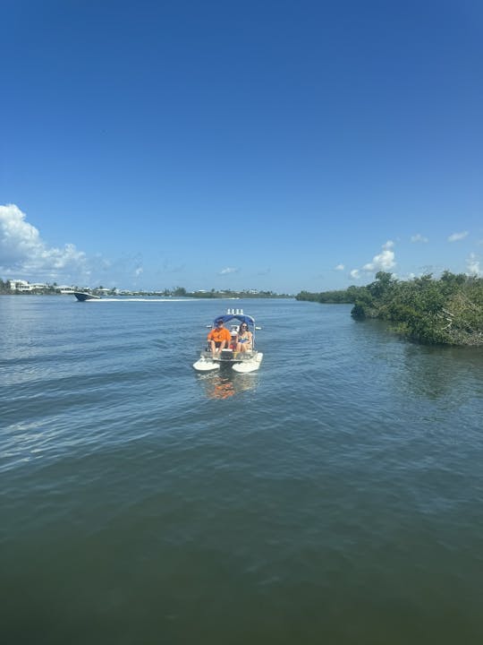 ¡Lleva a Catty a explorar la belleza del suroeste de Florida! 