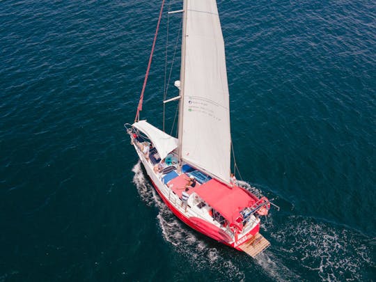 Magnificent Sailing Endeavour de 40 pés para uma experiência única no PV.