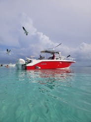 Viaje en barco privado Icaco/Palomino | Angler Villa Marina Fajardo de 31 pies
