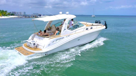 Perfect Sea Ray 31 Footer In Cancun Hotel Zone 