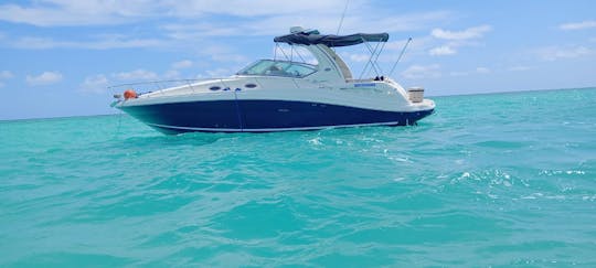 Searay de 37 pés, iate de luxo em Punta Cana 