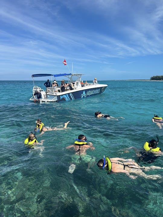 Lancha rápida de 45 pies (STEEL) nadando cerdos a Rose Island con almuerzo y visitas turísticas