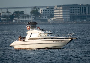 Brisa Carioca 36ft Cobra Capri Motor Yacht Rental in Rio de Janeiro, Brazil