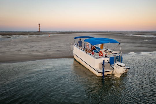 Excursão particular com golfinhos/eco/conchas em Folly Beach